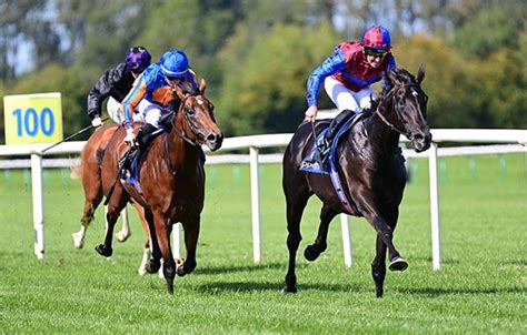 Horse Racing Fast Results, Cards, Betting & News.
